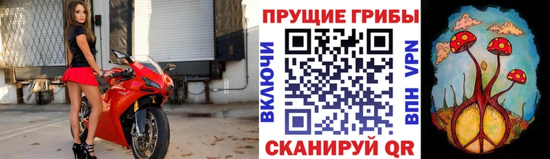 Галлюциногенные грибы мухоморы  Мезень 
